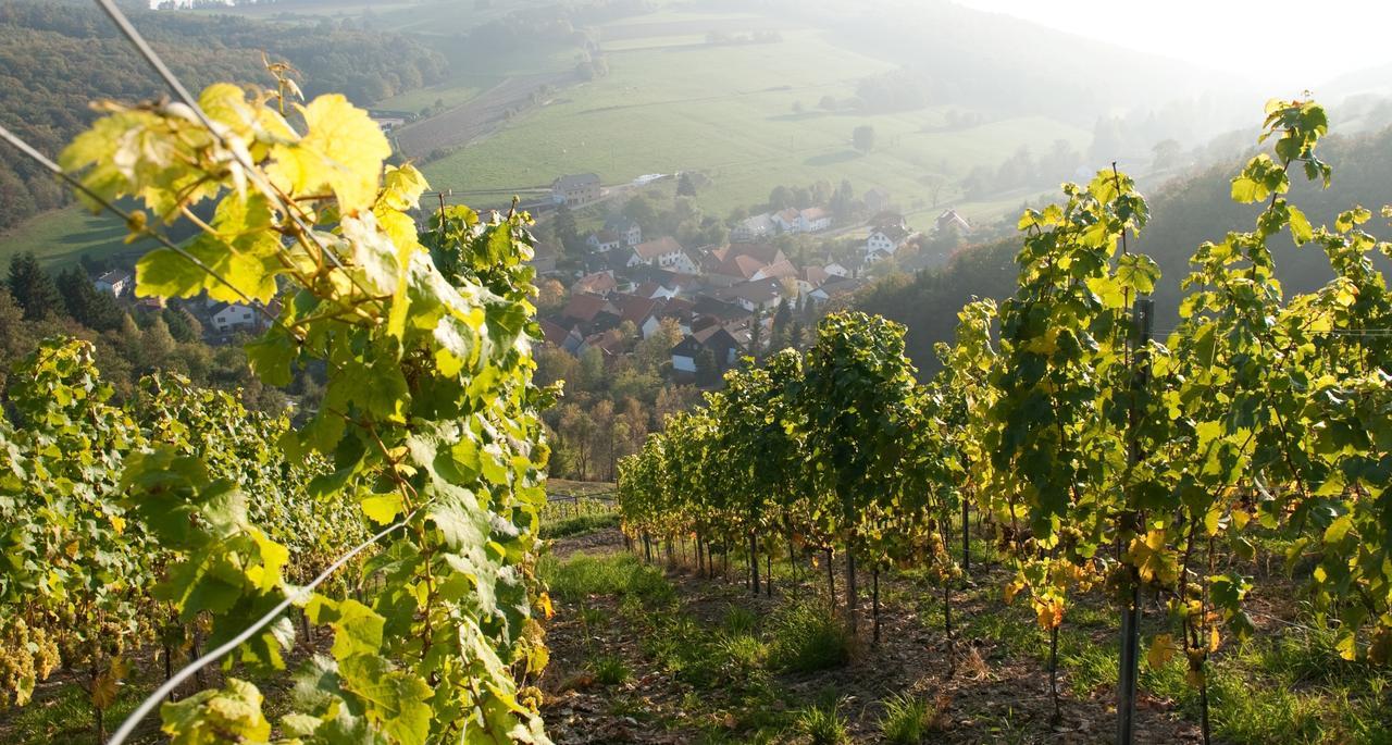 Weingut Hees - Landgasthof Zum Jaeger Aus Kurpfalz Auen المظهر الخارجي الصورة