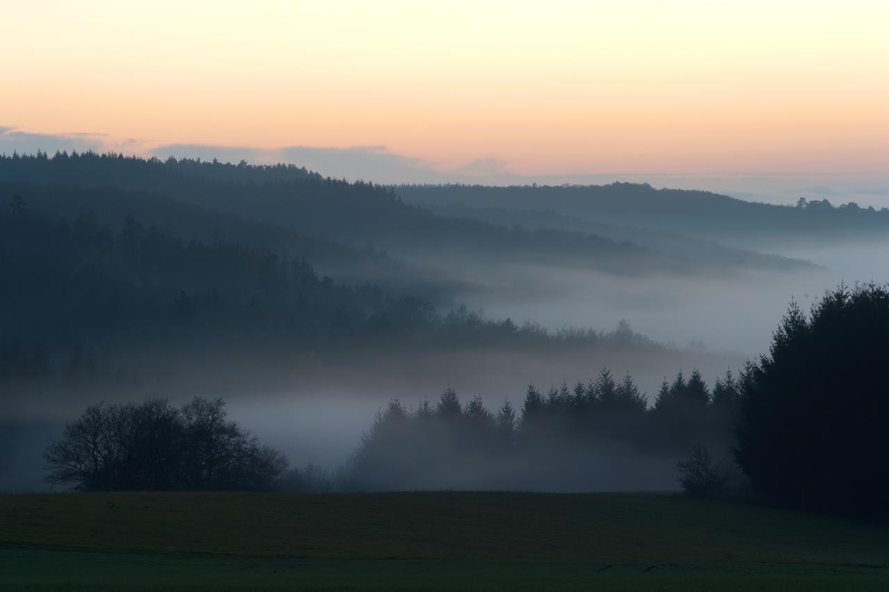 Weingut Hees - Landgasthof Zum Jaeger Aus Kurpfalz Auen المظهر الخارجي الصورة