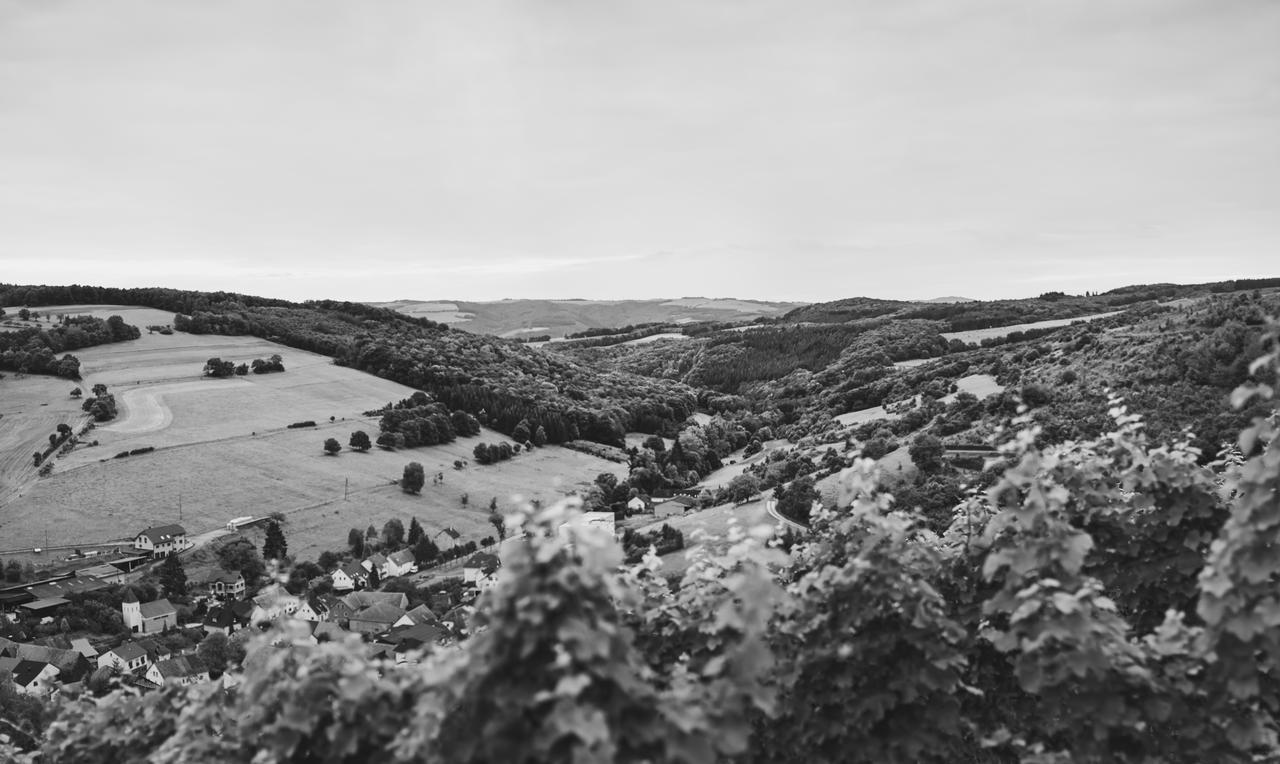 Weingut Hees - Landgasthof Zum Jaeger Aus Kurpfalz Auen المظهر الخارجي الصورة